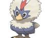 627-rufflet