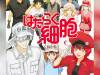 Cells-at-Work-6