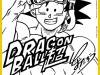 Dragon-Ball-Super-Mini-Shikishi-estivo