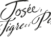 Josee-la-Tigre-e-i-Pesci-Anime-Factory