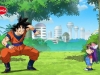 Goku-e-Arale-di-nuovo-insieme-in-Dragon-Ball-Super