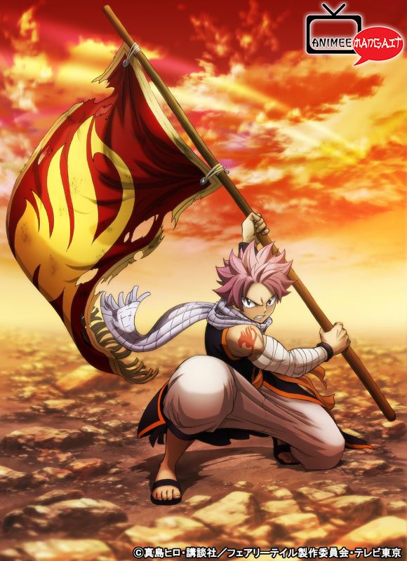 Fairy Tail - Ultimo Anime - Visual