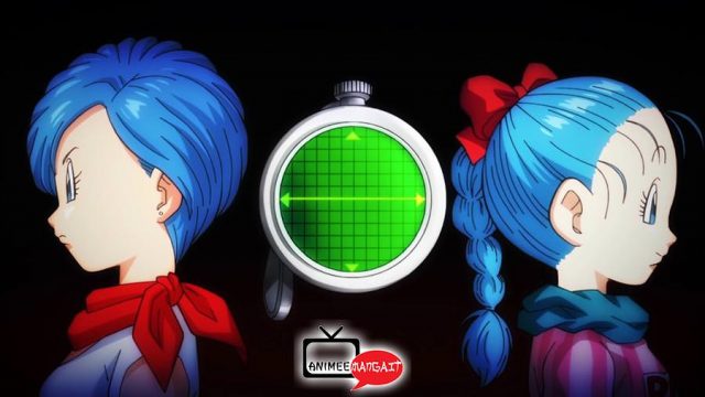 Bulma Brief