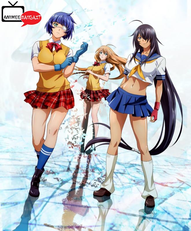 Ikki Tousen Western Wolves - Visual 2
