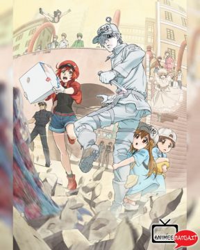 Cells at Work! - Lavori in corpo (Hataraku saibo) - Visual 2 - 2.0
