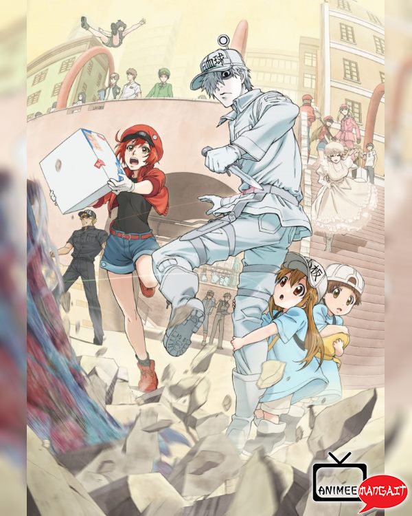 Cells at Work! a Gennaio la 2^ Stagione – Trailer