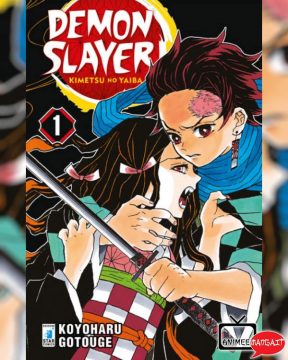 Demon Slayer - Kimetsu no Yaiba