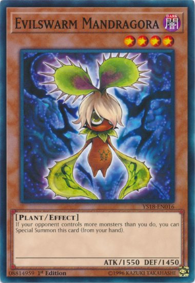 Mandragora Brancomalvagio
