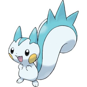 Pachirisu