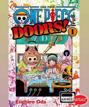 One Piece Doors!