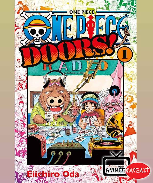 One Piece Doors!