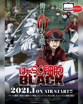 Cells at Work! - Code Black - Anime Visual