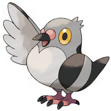 Pidove