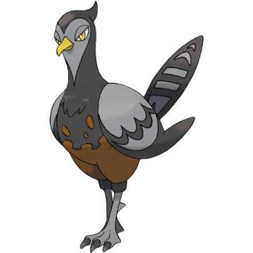 Unfezant
