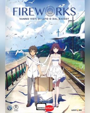 Fireworks - Vanno visti di lato o dal basso?