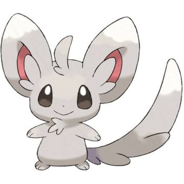 Minccino
