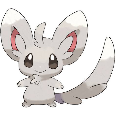 Minccino