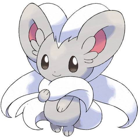 Cinccino