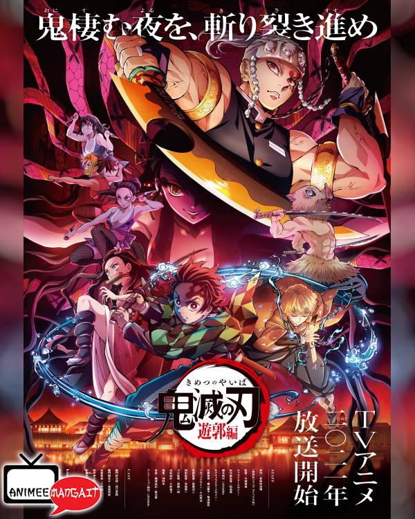 Demon Slayer - Kimetsu no Yaiba - Anime St. 2