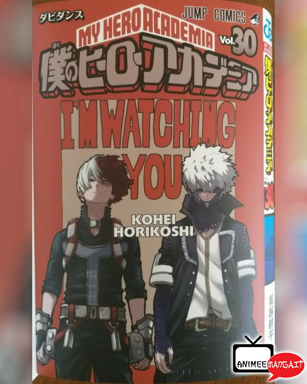 My Hero Academia - Volume 30 Limited Edition