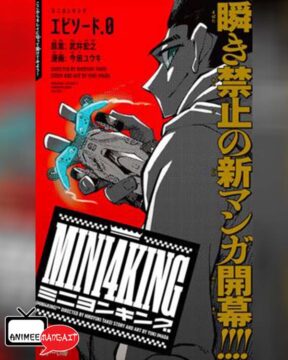 Mini 4 King