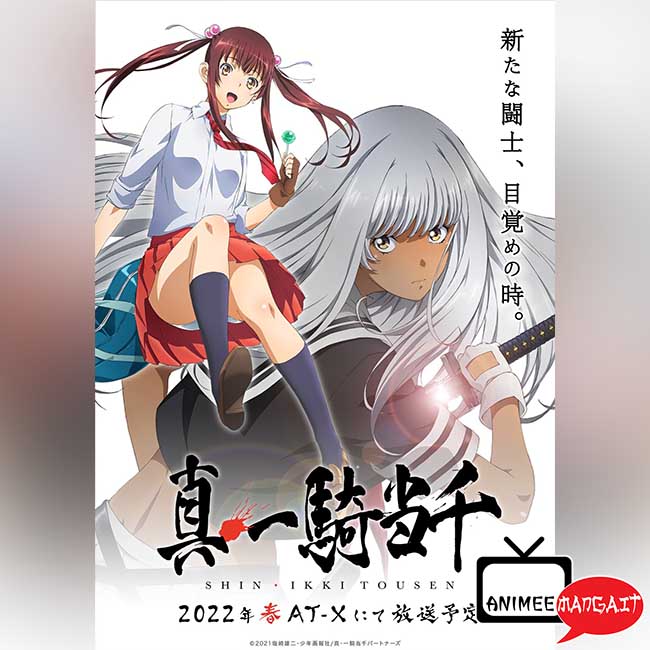 Shin Ikki Tousen - Visual