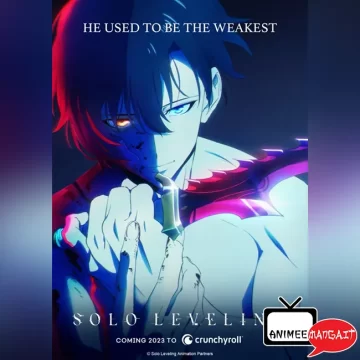 Solo Leveling - Amime Visual