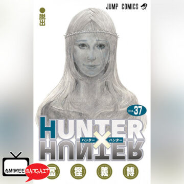Hunter x Hunter v.37