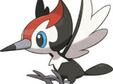 Pikipek