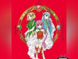 Magic Knight Rayearth - Premium Box