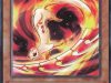 furetto_del_fuoco_schermidore