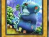 grande_koala