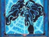 ragno_link