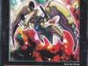 raidraptor_falco_sconosciuto