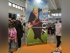 Comicon 2022 - Day 4 - 12