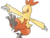 combusken