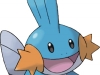mudkip