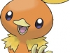 torchic